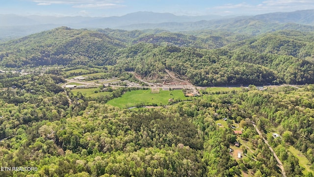 1351 Mortar Rd, Sevierville, TN 37876
