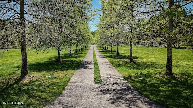 surrounding community with a lawn