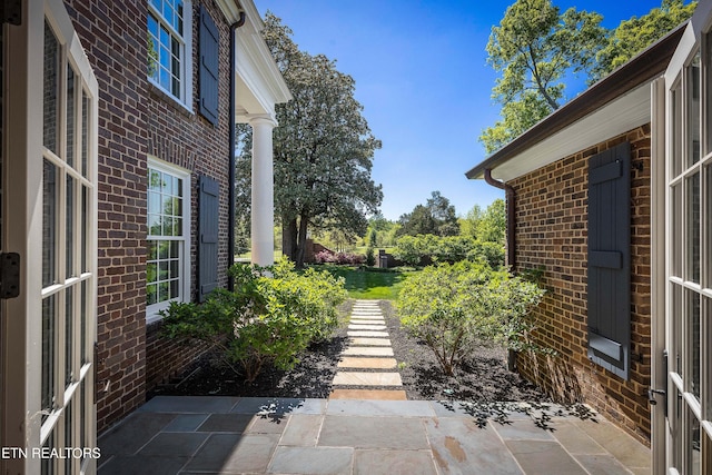 view of yard featuring a patio area