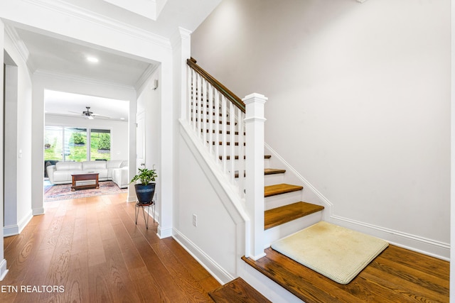 stairs featuring crown molding, baseboards, ceiling fan, and hardwood / wood-style flooring