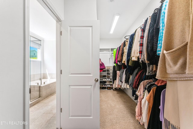 view of walk in closet
