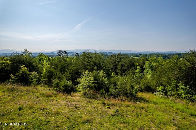 110 Garren Rd, Madisonville, TN 37354 - photo 8