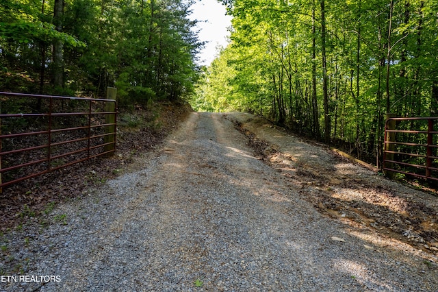 110 Garren Rd, Madisonville, TN 37354 - photo 42