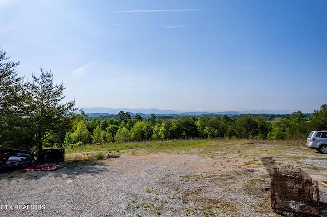 110 Garren Rd, Madisonville, TN 37354 - photo 49