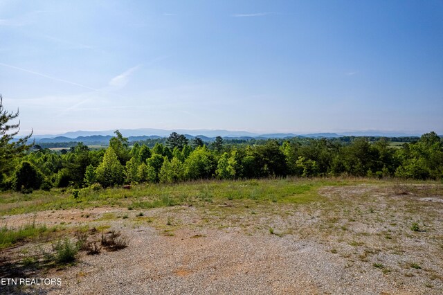 110 Garren Rd, Madisonville, TN 37354 - photo 50