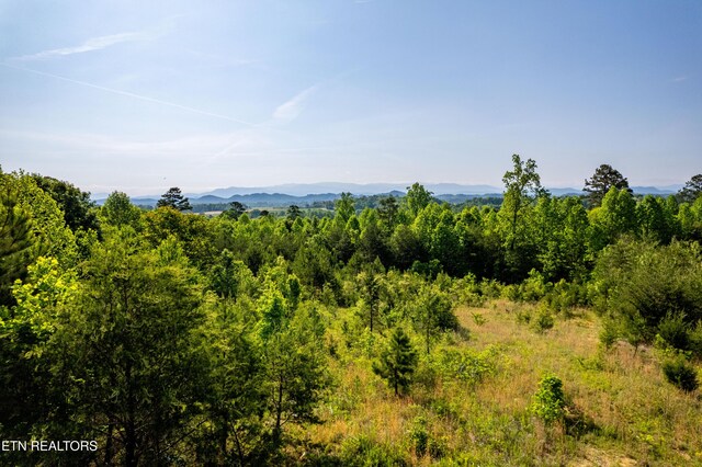 110 Garren Rd, Madisonville, TN 37354 - photo 54