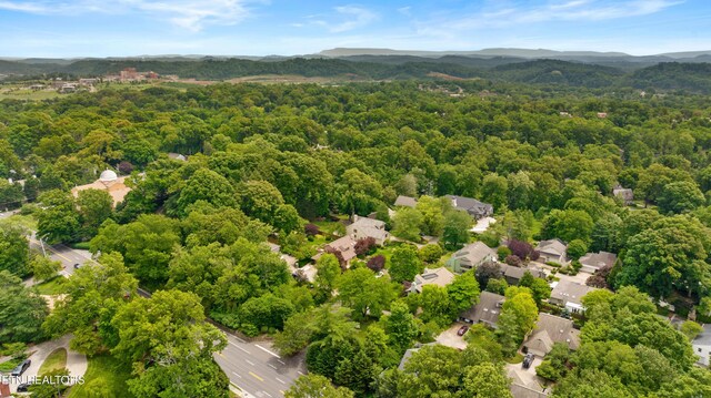 424 Anteelah Trl, Knoxville, TN 37919 - photo 47