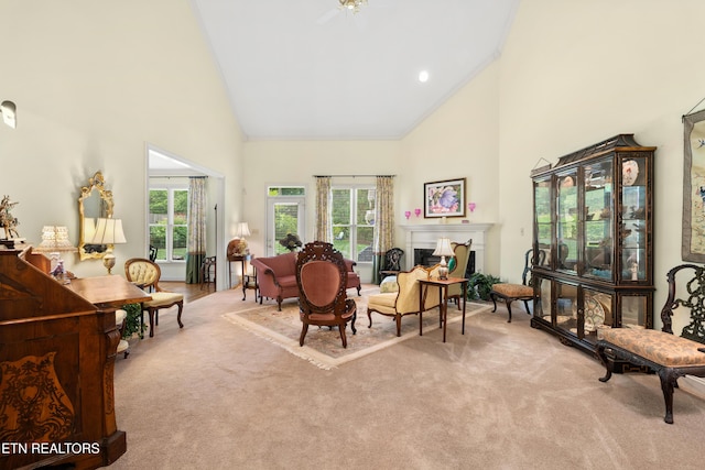 424 Anteelah Trl, Knoxville, TN 37919 - photo 8