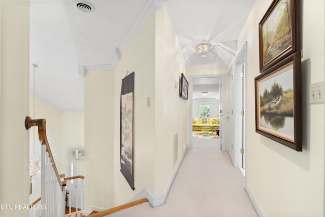 424 Anteelah Trl, Knoxville, TN 37919 - photo 26
