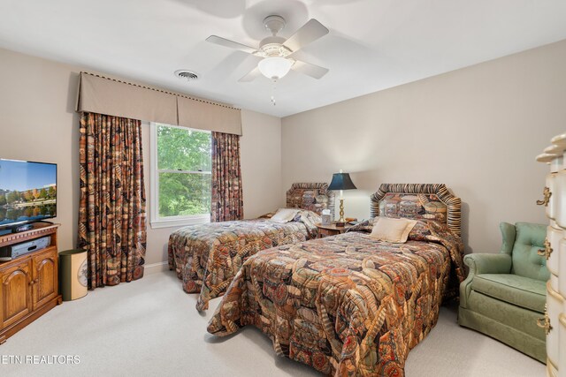 424 Anteelah Trl, Knoxville, TN 37919 - photo 39