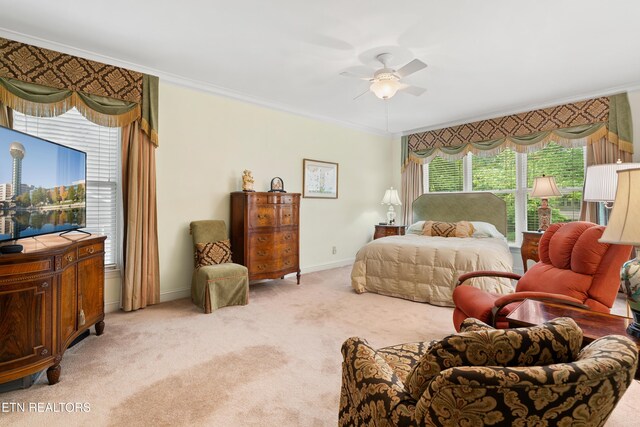 424 Anteelah Trl, Knoxville, TN 37919 - photo 20