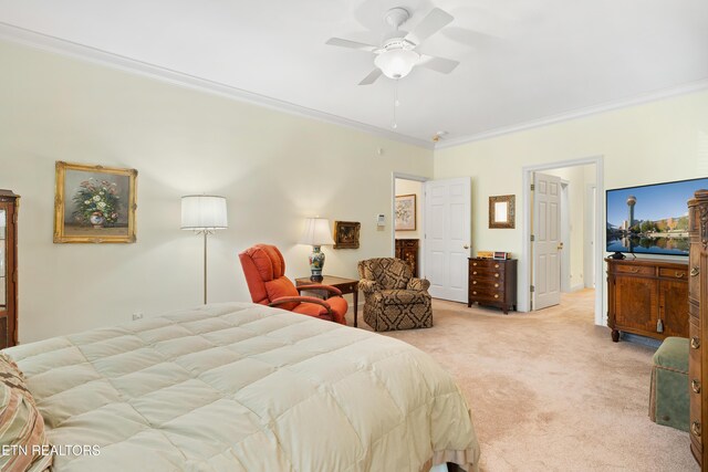 424 Anteelah Trl, Knoxville, TN 37919 - photo 21