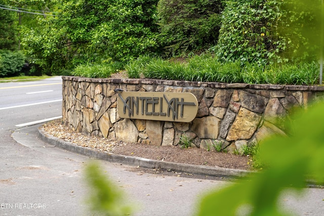 424 Anteelah Trl, Knoxville, TN 37919 - photo 53
