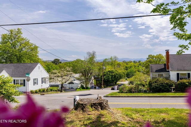 view of road with curbs