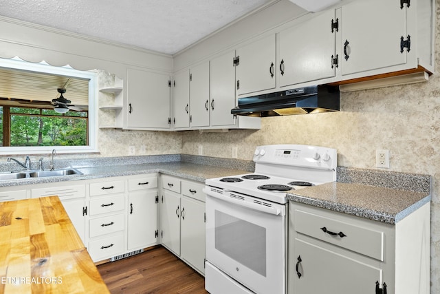 kitchen with open shelves, a sink, under cabinet range hood, dark wood-style flooring, and electric stove