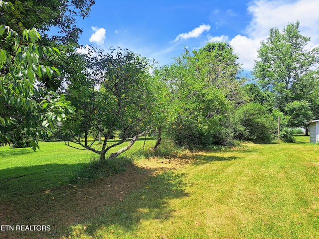 238 Church Dr, Pleasant Hill, TN 38578 - photo 19