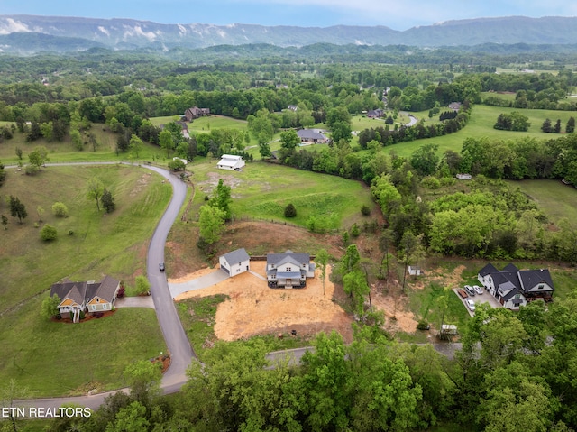 aerial view with a mountain view and a rural view