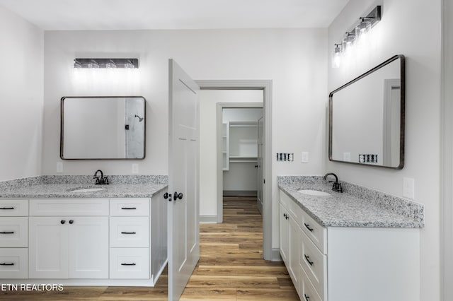 bathroom featuring two vanities, a sink, and wood finished floors