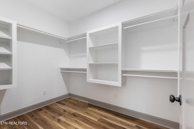 spacious closet featuring wood finished floors