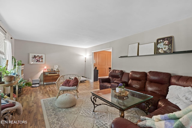 705 Kimbee Rd, Knoxville, TN 37923 - living area featuring wood finished floors