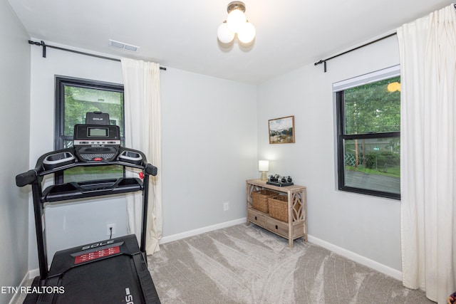 workout area featuring healthy amount of natural light, carpet floors, and baseboards