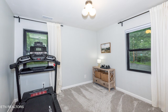 exercise room featuring healthy amount of natural light, carpet, and baseboards