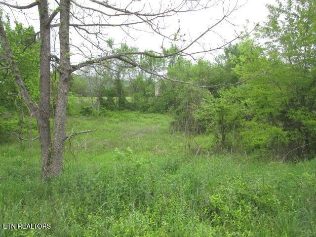 Silent Ln, Rutledge, TN 37861