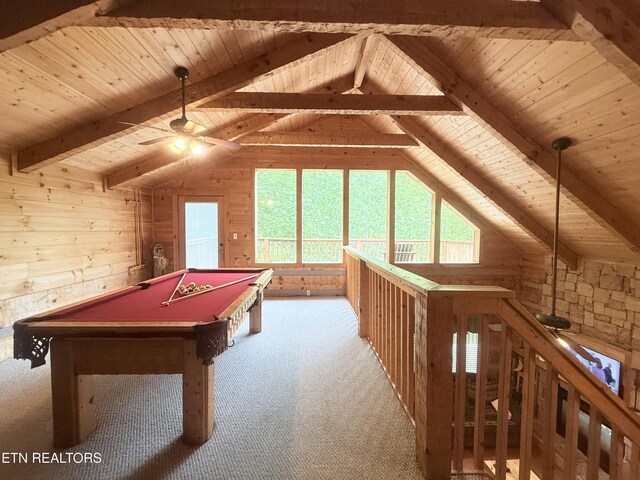 2575 Black Bear Ln, Sevierville, TN 37876 - photo 13