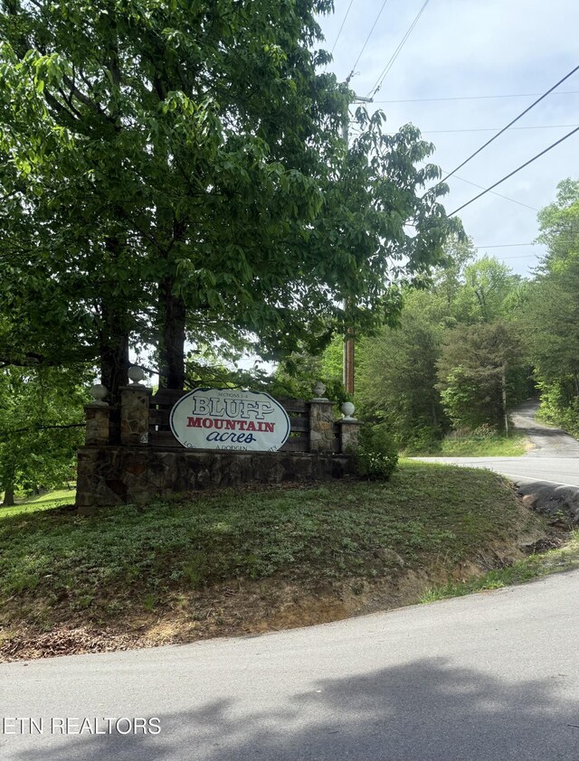 2575 Black Bear Ln, Sevierville, TN 37876 - photo 31