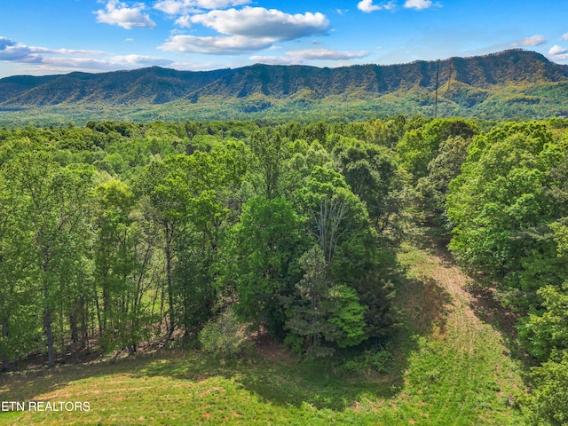 County Line Rd, Dandridge, TN 37725