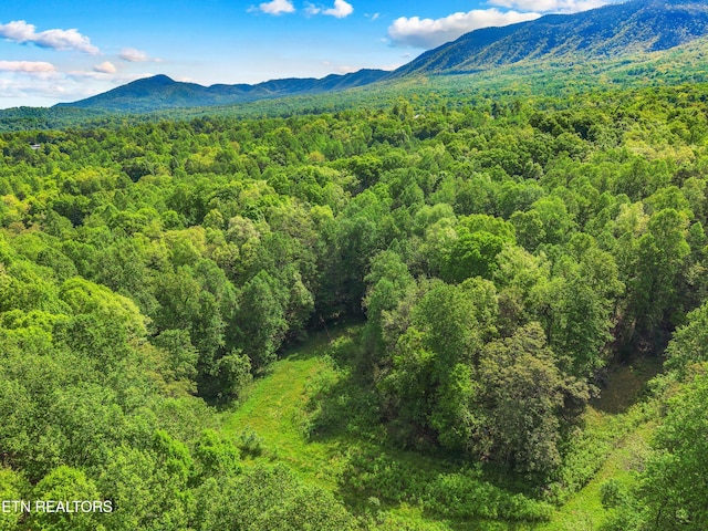 County Line Rd, Dandridge, TN 37725