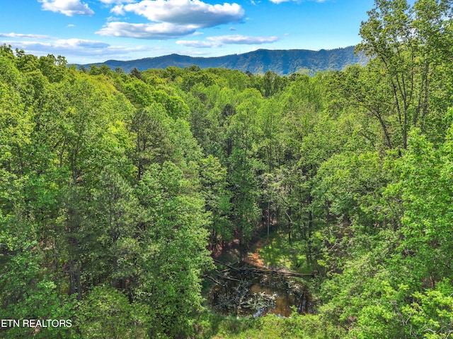 County Line Rd, Dandridge, TN 37725