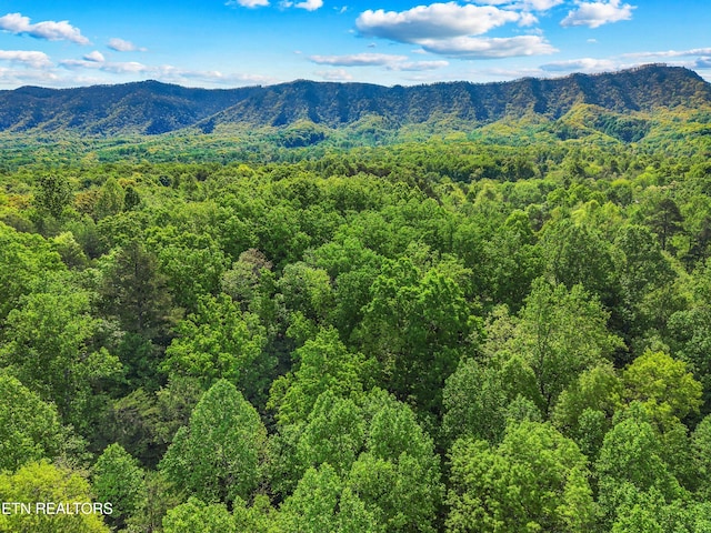 County Line Rd, Dandridge, TN 37725