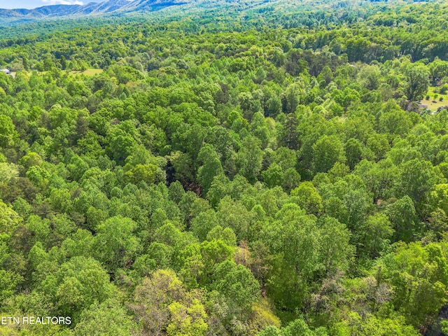 County Line Rd, Dandridge, TN 37725
