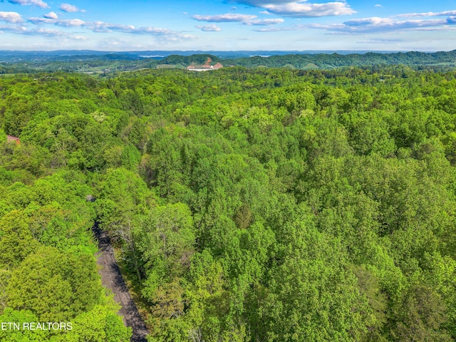 County Line Rd, Dandridge, TN 37725