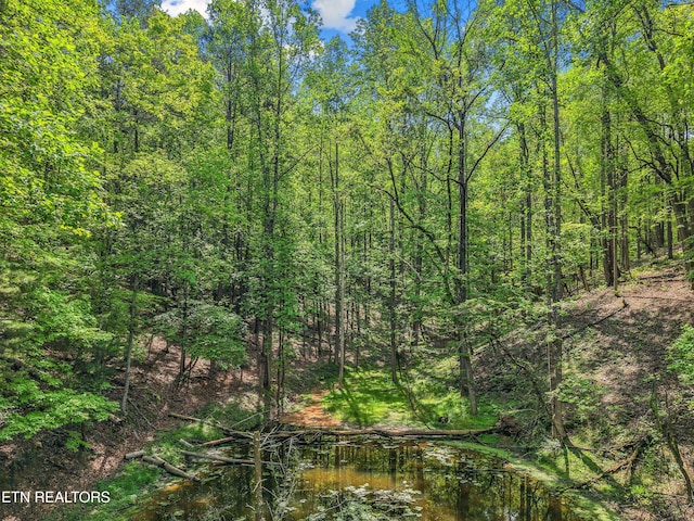 County Line Rd, Dandridge, TN 37725
