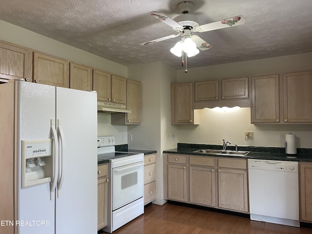 kitchen featuring a sink, a textured ceiling, dark wood-type flooring, white appliances, and under cabinet range hood