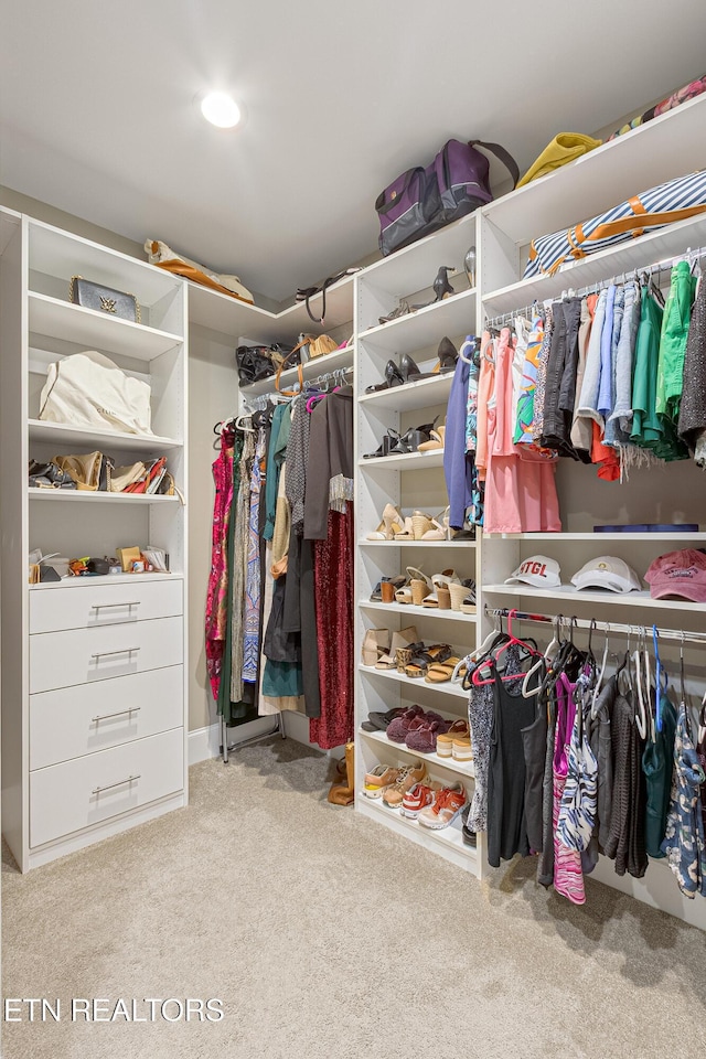 walk in closet featuring carpet floors