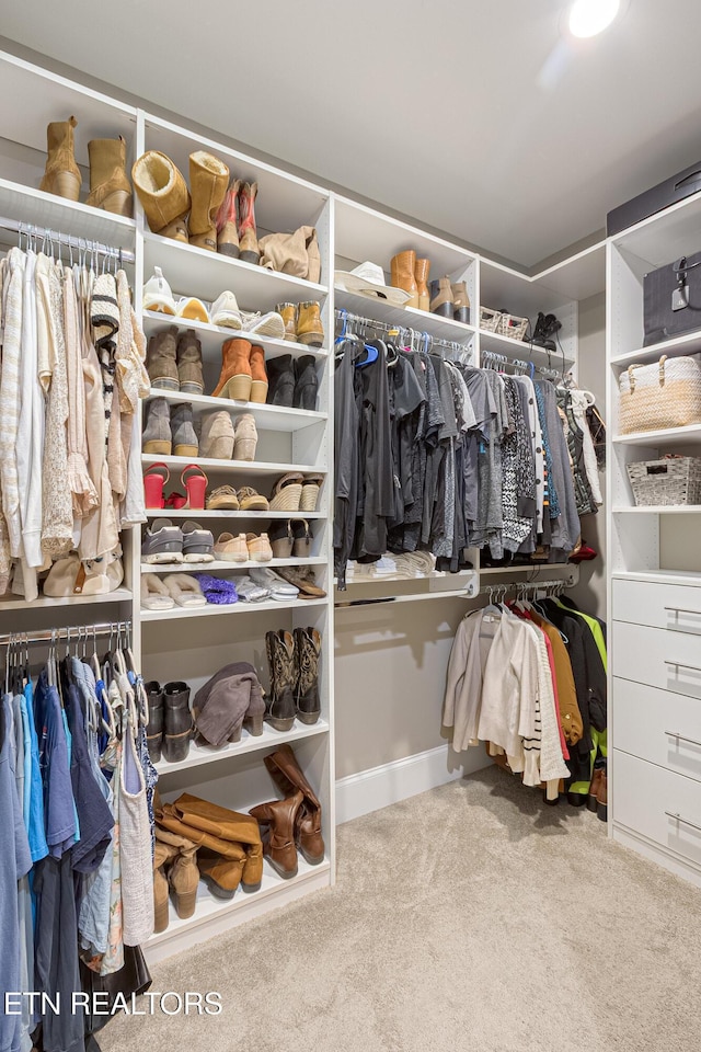 walk in closet featuring carpet flooring