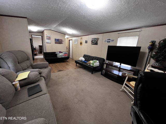 living room featuring wood finished floors, a textured ceiling, and lofted ceiling