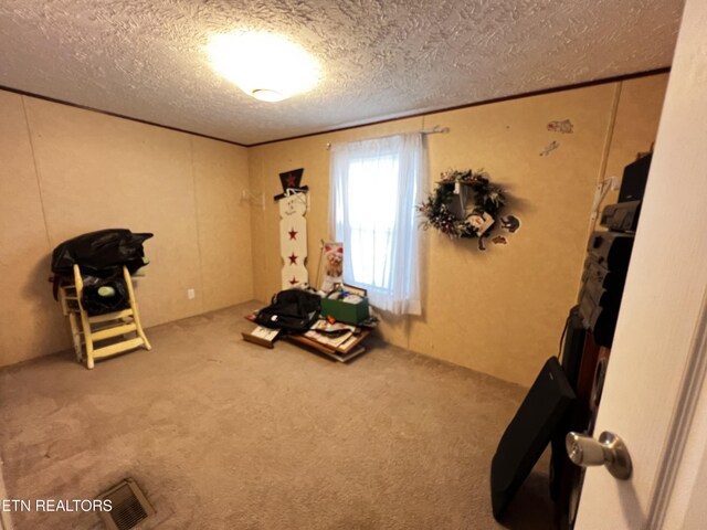 workout area with a textured ceiling and carpet floors