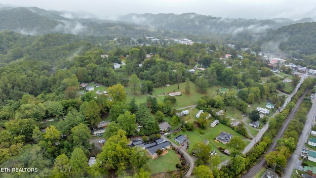 bird's eye view with a mountain view and a view of trees