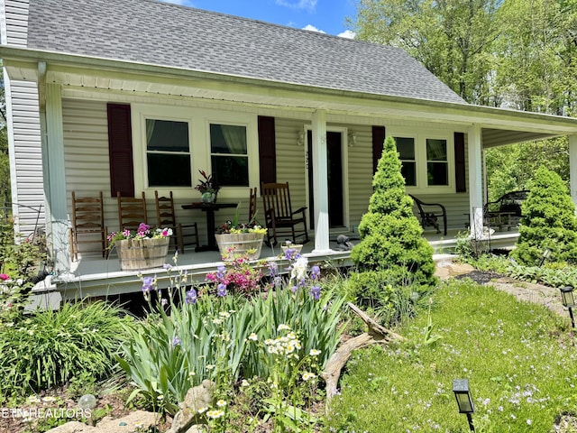 220 Lovelady Ln, Dayton, TN 37321 - rear view of house with a shingled roof and covered porch
