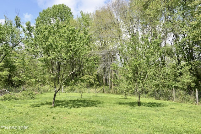 220 Lovelady Ln, Dayton, TN 37321 - view of yard featuring a forest view