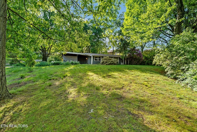 view of yard