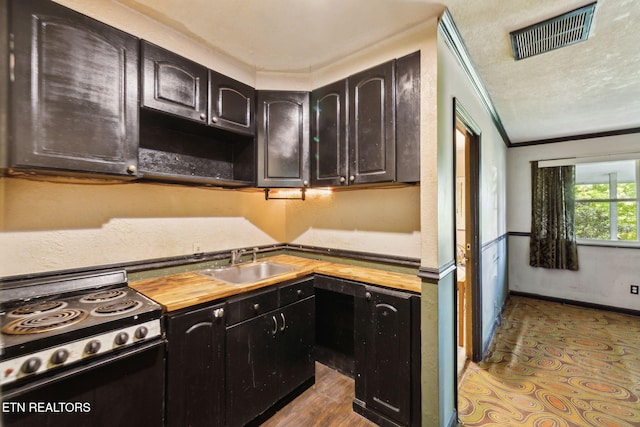 kitchen featuring a sink, wood counters, range with electric cooktop, visible vents, and ornamental molding