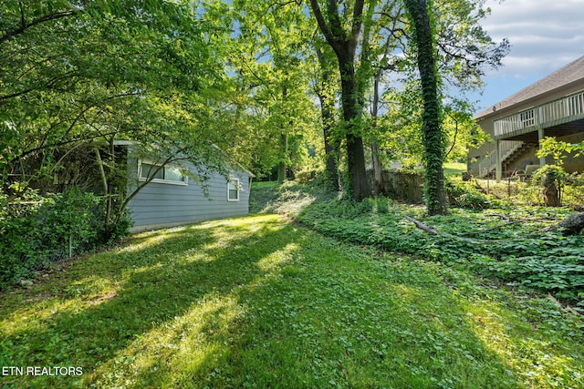 view of yard
