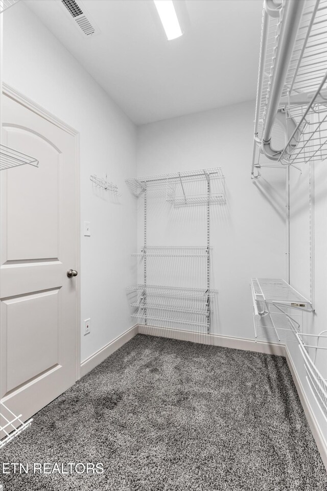 walk in closet featuring carpet and visible vents