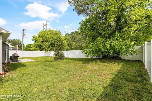 view of yard featuring a fenced backyard and a patio area
