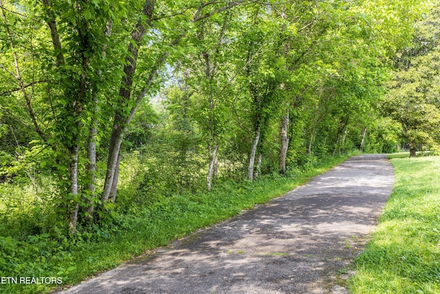 view of road featuring a wooded view